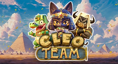 CLEO TEAM