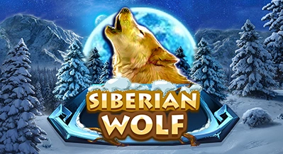 SIBERIAN WOLF