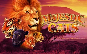 MAJESTIC CATS