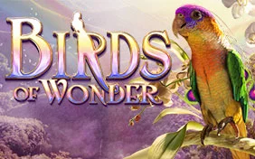 BIRDS OF WONDER