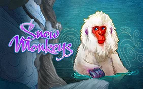 SNOW MONKEYS