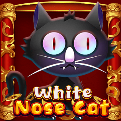 WHITE NOSE CAT