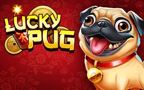 LUCKY PUG