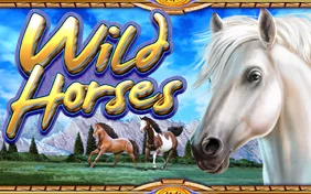 WILD HORSES