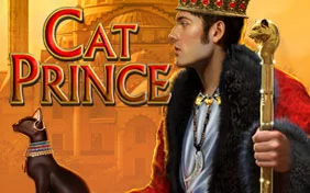 CAT PRINCE