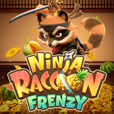 NINJA RACCON FRENZY