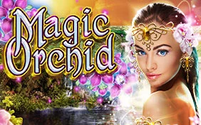 MAGIC ORCHID