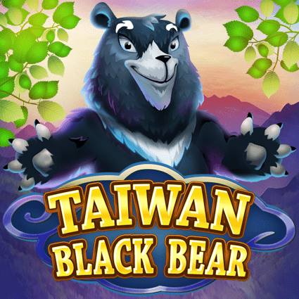 TAIWAN BLACK BEAR