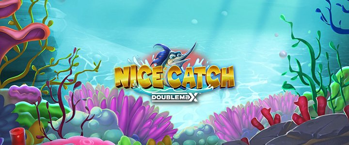 NICE CATCH
