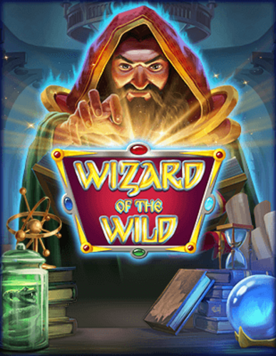 WIZARD OF THE WILD