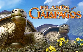 ISLANDS OF GALAPAGOS