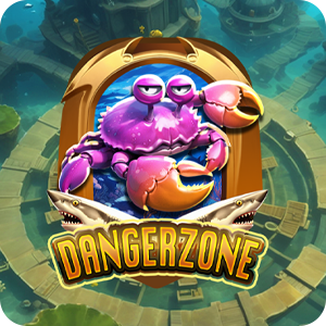 DANGER ZONE
