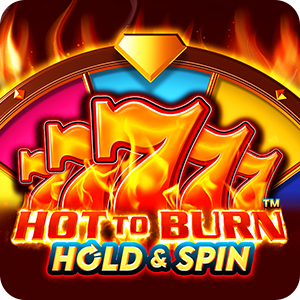 HOT TO BURN HOLD AND SPIN