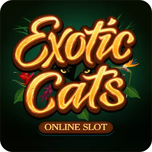 EXOTIC CATS